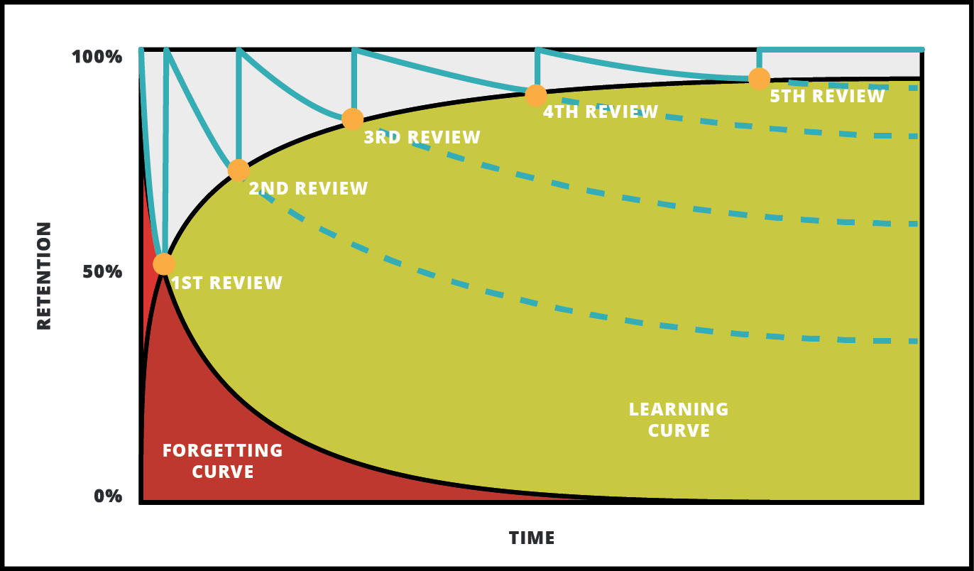 Manhattan Prep GRE Blog - Hack the GRE Vocab - Used Spaced Repetition to Get Maximum Results with Minimum Time Investment - Forgetting Curve Vs. Learning Curve - by Ceilidh Erickson