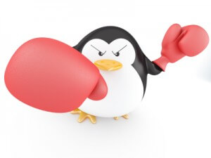 Penguin Boxer
